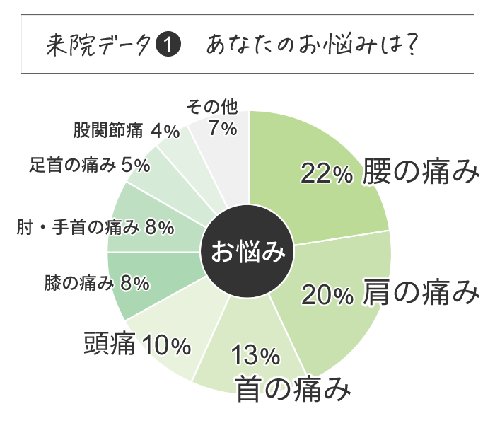 朝霞市の整体院のロイテ朝霞整骨院鍼灸院に来院される方のお悩み別の円グラフ